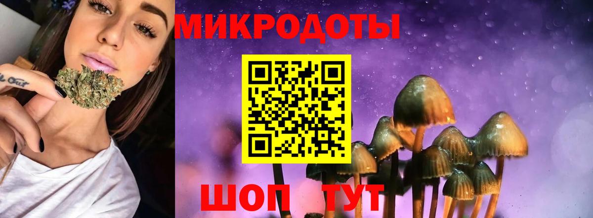 Котлас  купить  цена  Псилоцибиновые грибы Magic Shrooms  Вход с VPN  Галлюциногенные грибы прущие грибы 